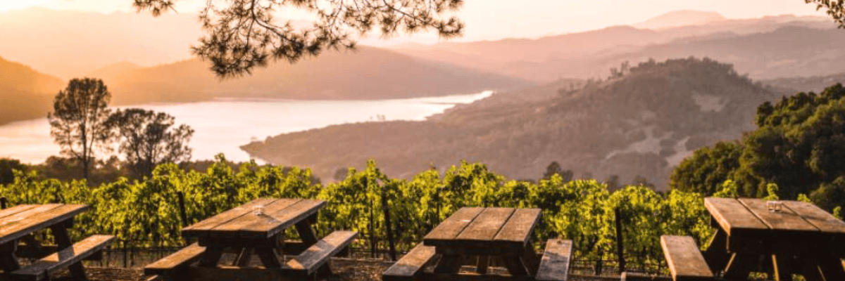 8 Days in Wine Country and San Francisco - background banner