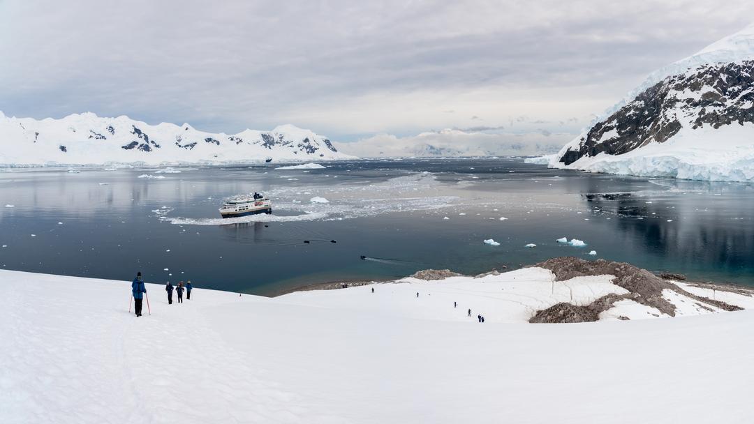 Antarctica & Falklands Expedition Cruise with HX Expeditions