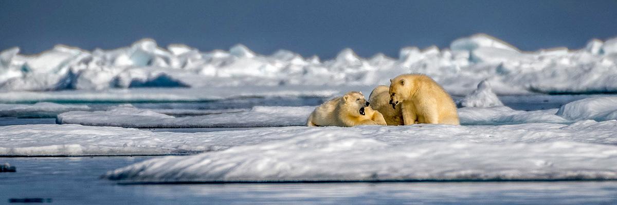 Best Offers & Deals - background banner