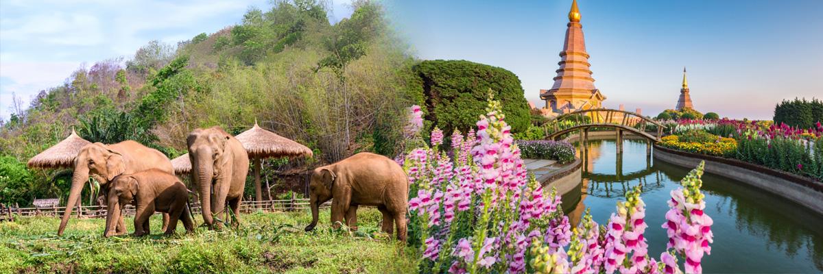 Discover Thailand Land of Smiles and Ancient Wonders - background banner